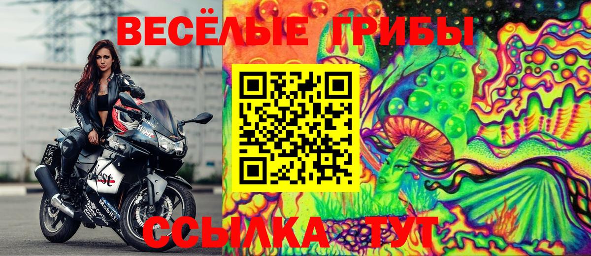 Псилоцибиновые грибы MAGIC MUSHROOMS Жигулёвск