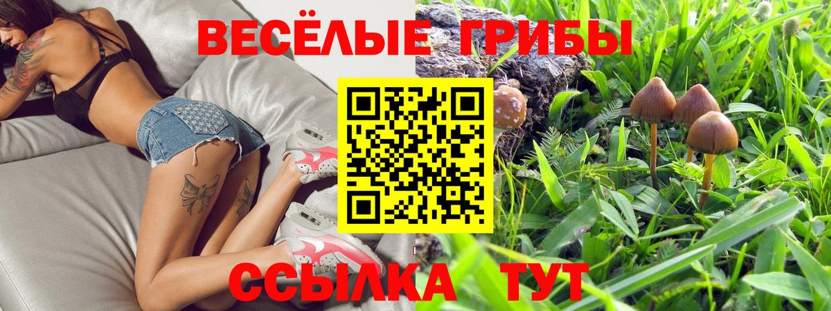 Жигулёвск  Псилоцибиновые грибы Psilocybe  Вход с VPN 