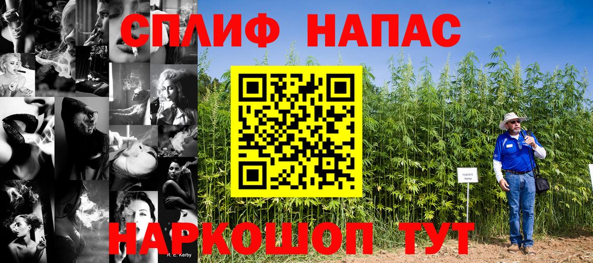 Конопля гибрид  Бошки Шишки SATIVA & INDICA  Вход с VPN  Бошки марихуана THC 21%  Жигулёвск 